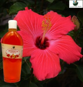 Hibiscus Shampoo Seven Hills Herbals