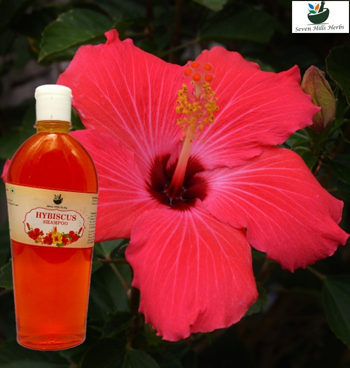 Rynke panden forgænger spisekammer Hibiscus Shampoo – Seven Hills Herbals Kodaikanal